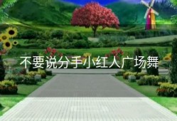 不要说分手小红人广场舞