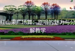 红山果广场舞：原唱的魅力与分解教学