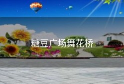 糖豆广场舞花桥