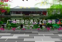 广场舞缘份遇见了你背面