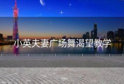 小英夫妻广场舞渴望教学