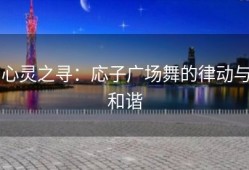 心灵之寻：応子广场舞的律动与和谐