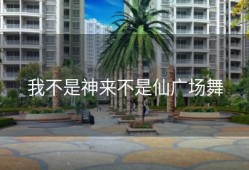 我不是神来不是仙广场舞