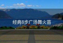 经典8步广场舞火苗