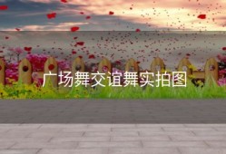 广场舞交谊舞实拍图