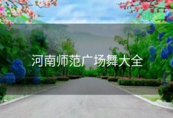 河南师范广场舞大全