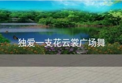 独爱一支花云裳广场舞