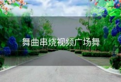 舞曲串烧视频广场舞