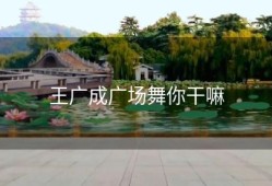 王广成广场舞你干嘛