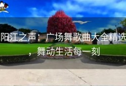 阳江之声：广场舞歌曲大全精选，舞动生活每一刻