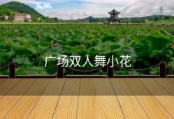 广场双人舞小花