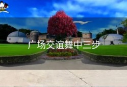 广场交谊舞中三步