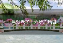 一晃就老了十六步广场舞