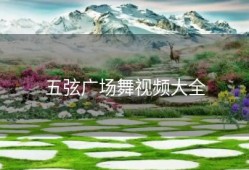 五弦广场舞视频大全