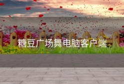 糖豆广场舞电脑客户端