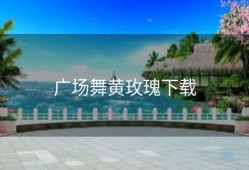 广场舞黄玫瑰下载