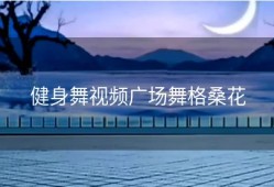 健身舞视频广场舞格桑花