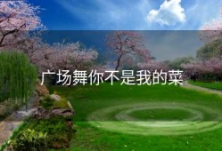 广场舞你不是我的菜