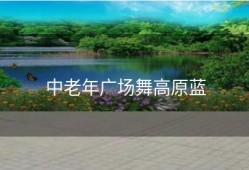 中老年广场舞高原蓝
