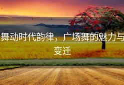 舞动时代韵律，广场舞的魅力与变迁