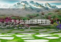 九步恰恰广场舞背面
