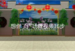 想你了广场舞视频16步