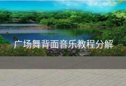 广场舞背面音乐教程分解