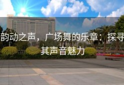 韵动之声，广场舞的乐章：探寻其声音魅力