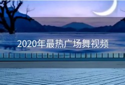 2020年最热广场舞视频