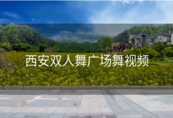 西安双人舞广场舞视频