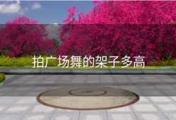 拍广场舞的架子多高