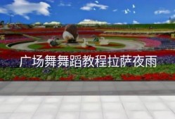 广场舞舞蹈教程拉萨夜雨