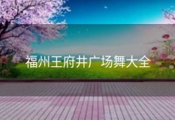 福州王府井广场舞大全