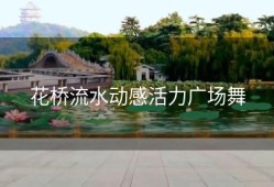 花桥流水动感活力广场舞