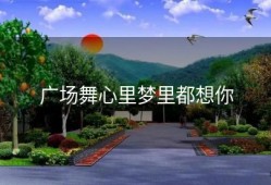 广场舞心里梦里都想你