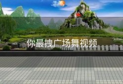 你最拽广场舞视频