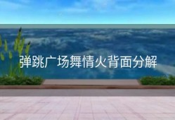 弹跳广场舞情火背面分解