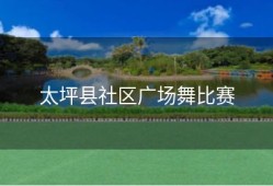 太坪县社区广场舞比赛