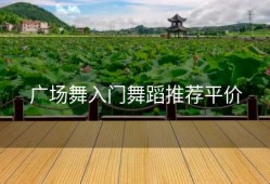 广场舞入门舞蹈推荐平价