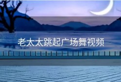 老太太跳起广场舞视频
