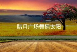 腊月广场舞摇太阳