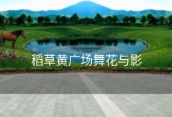 稻草黄广场舞花与影