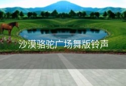 沙漠骆驼广场舞版铃声
