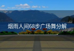 烟雨人间68步广场舞分解
