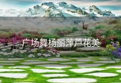 广场舞杨丽萍芦花美