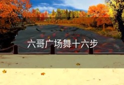 六哥广场舞十六步
