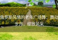 俄罗斯风情的老年广场舞：舞动岁月，绽放风采