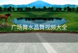 广场舞水晶舞视频大全