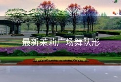 最新茉莉广场舞队形