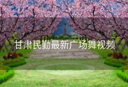 甘肃民勤最新广场舞视频